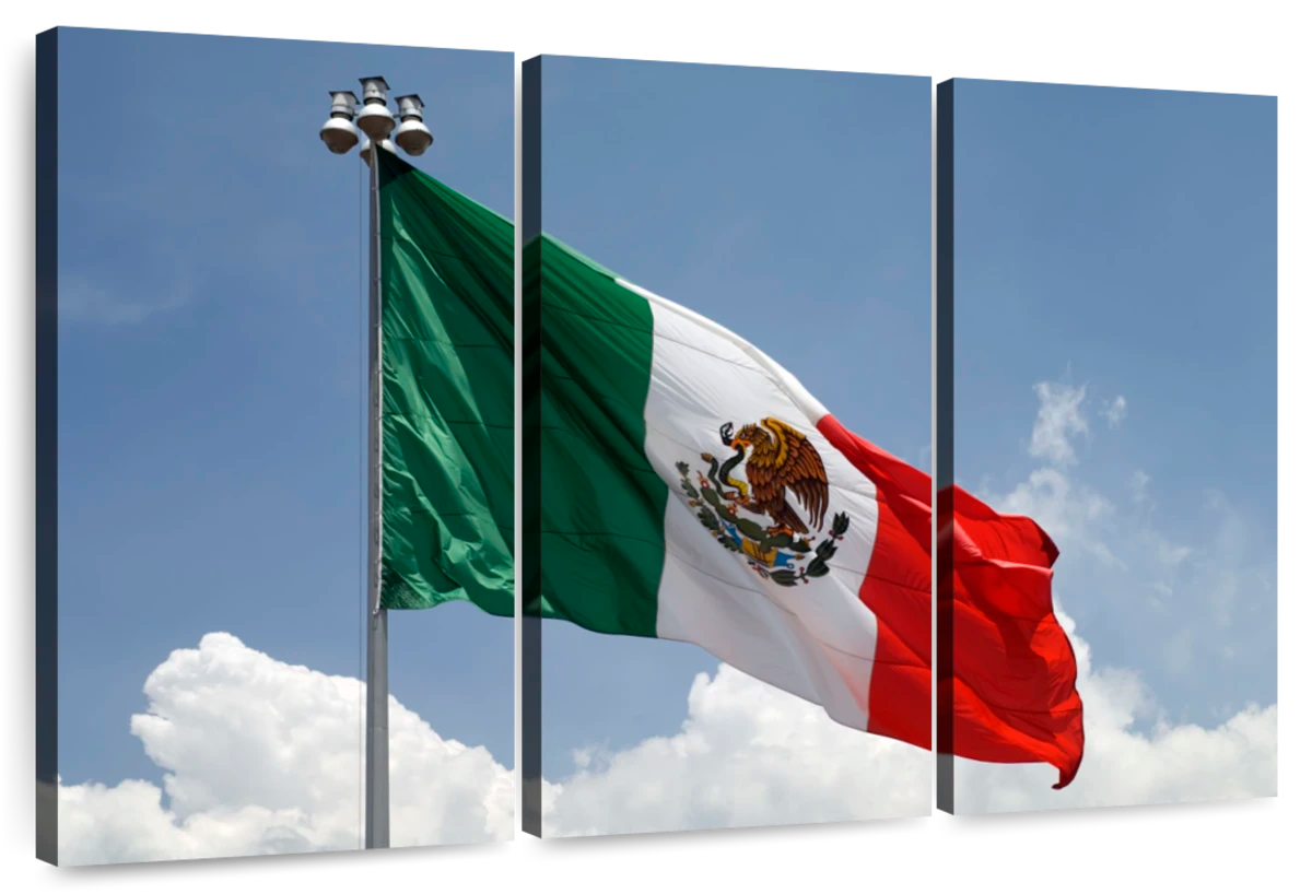 mexican flag waving png