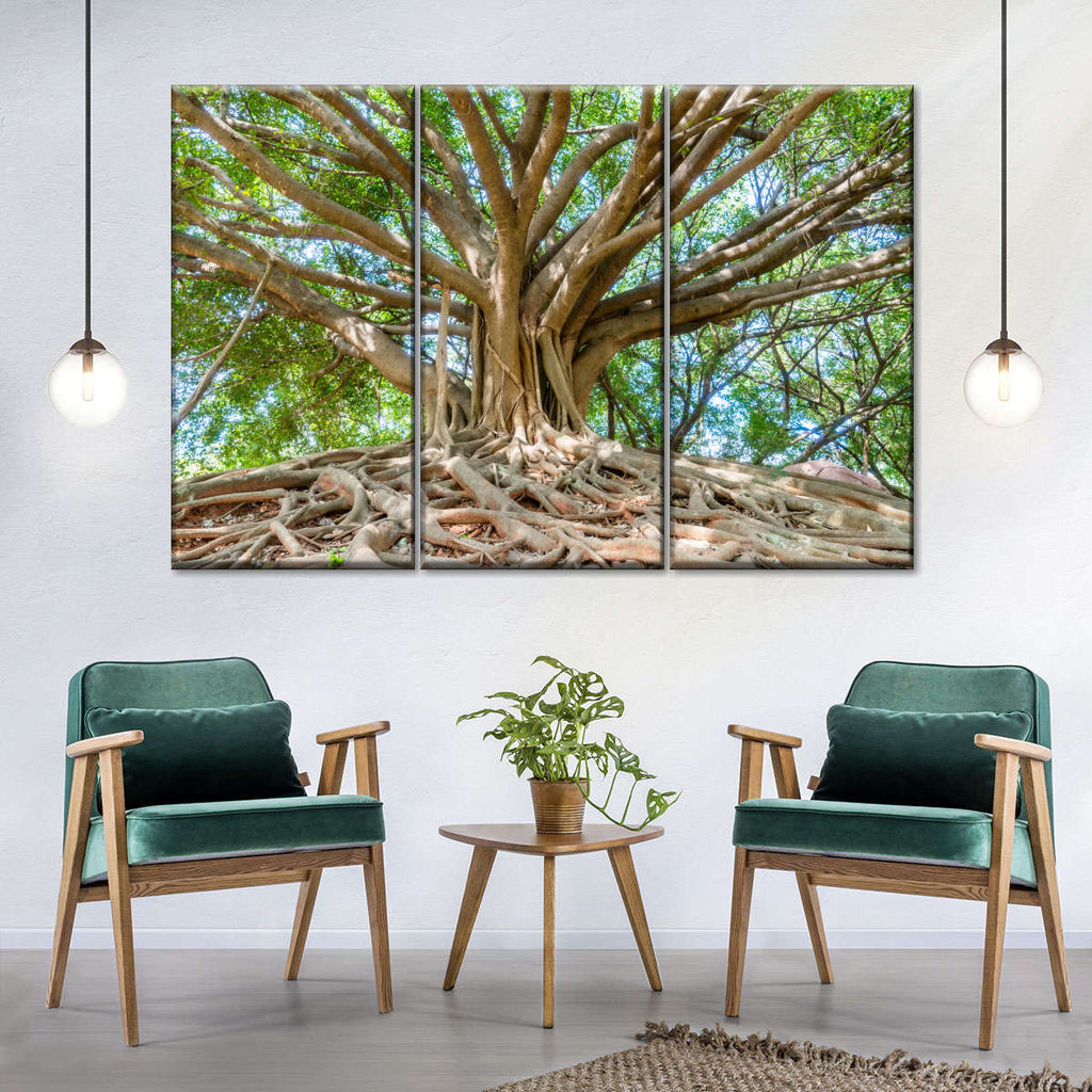 Banyan Tree Park Wall Art | Photography