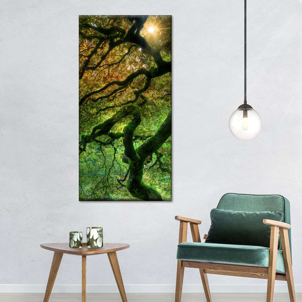 Japanese Maple Forest Wall Art | Photography