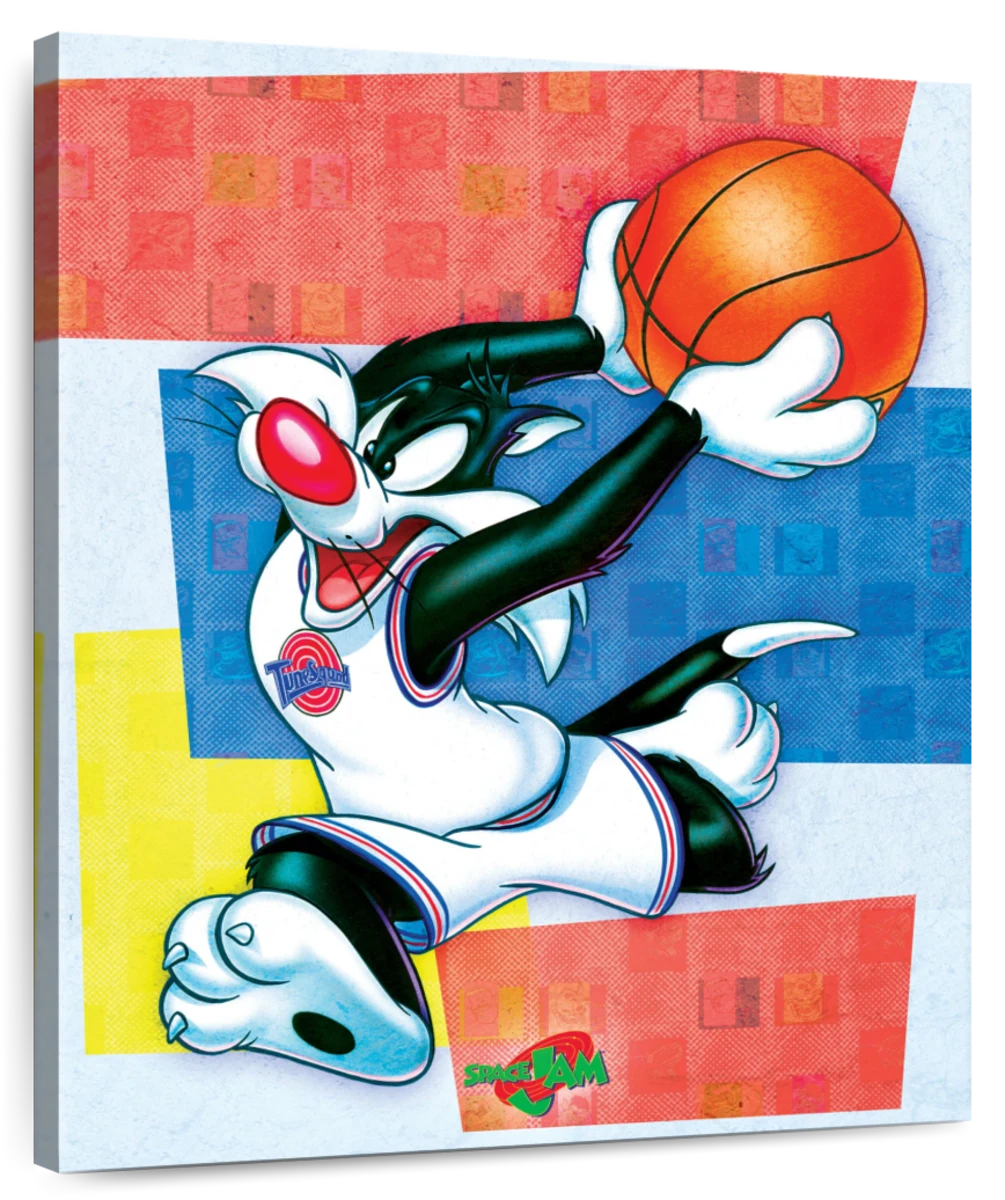 Sylvester 9 Space Jam TuneSquad Basketball Jersey – Space Jam Tune Squad