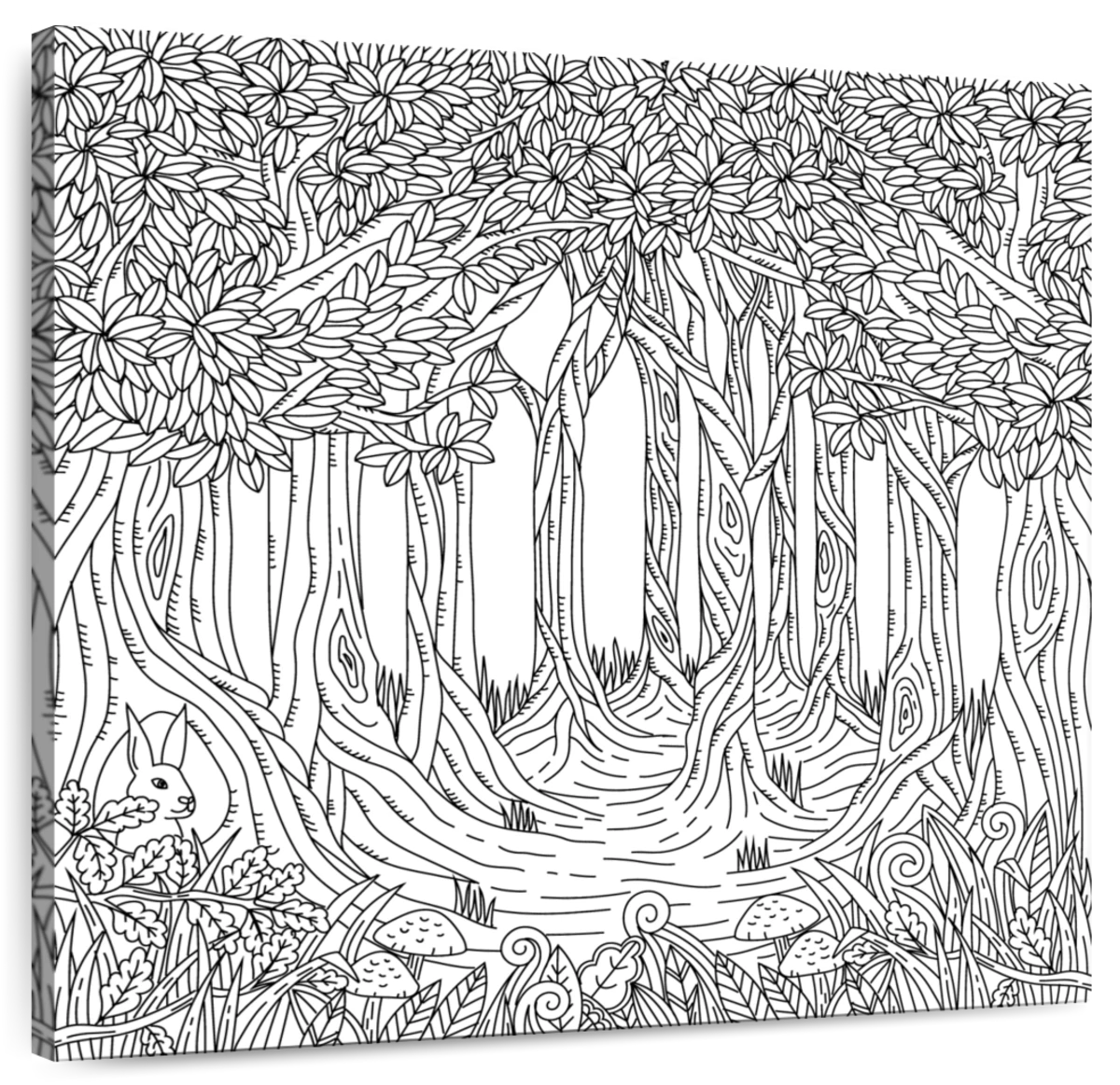  Forest Adult Coloring Canvas, Stretched primed canvas