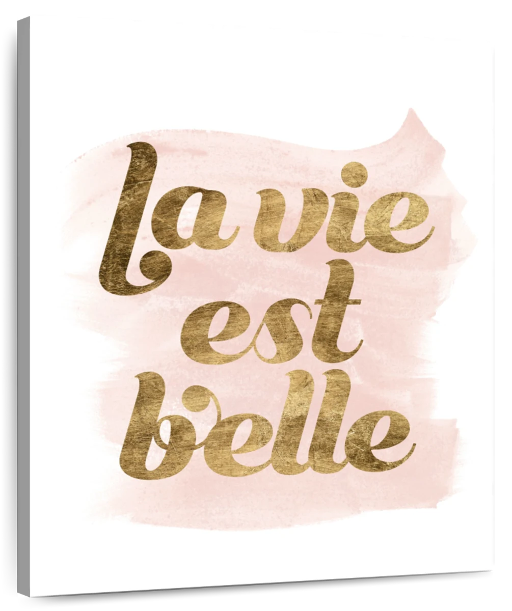 La vie en rose life in pink color french Vector Image