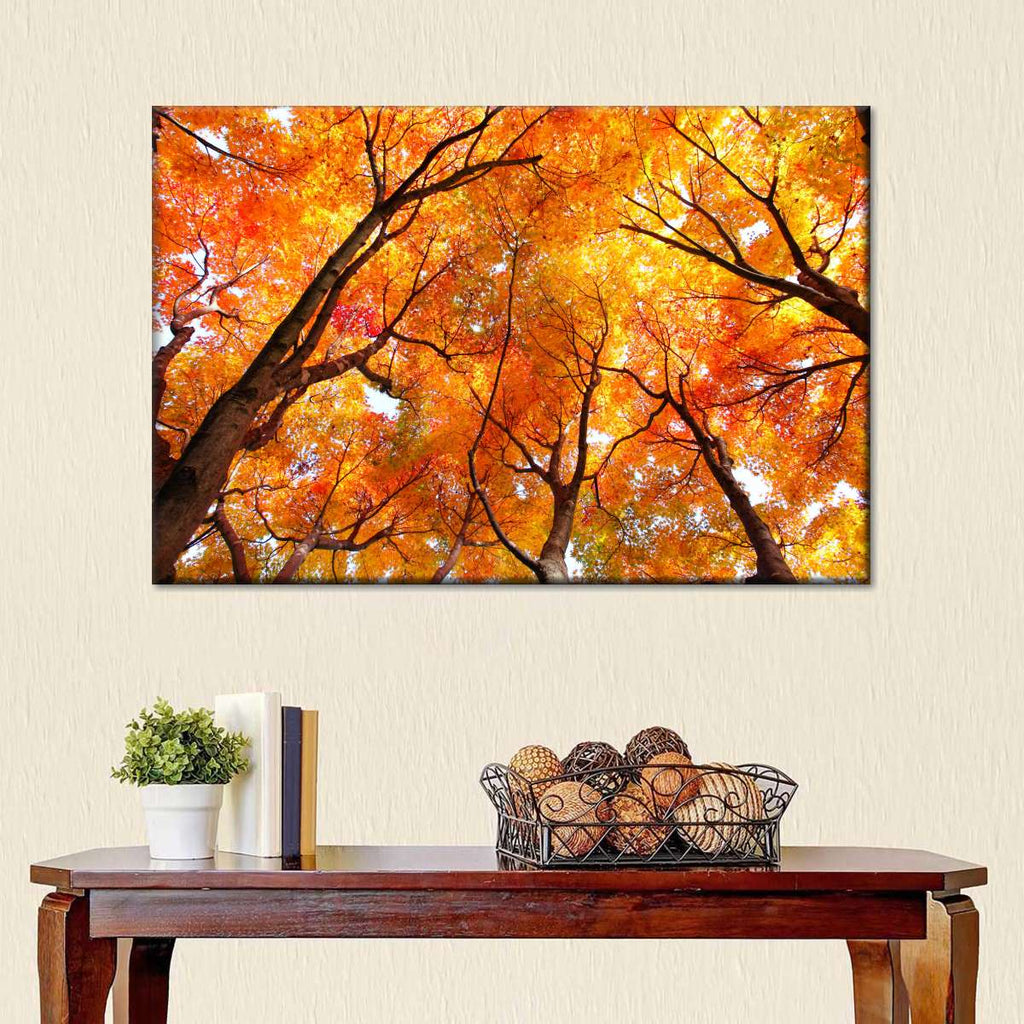 Maple Tree Autumn Canopy Wall Art | Photography