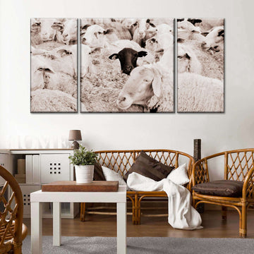 Lone Black Sheep Wall Art | Photography