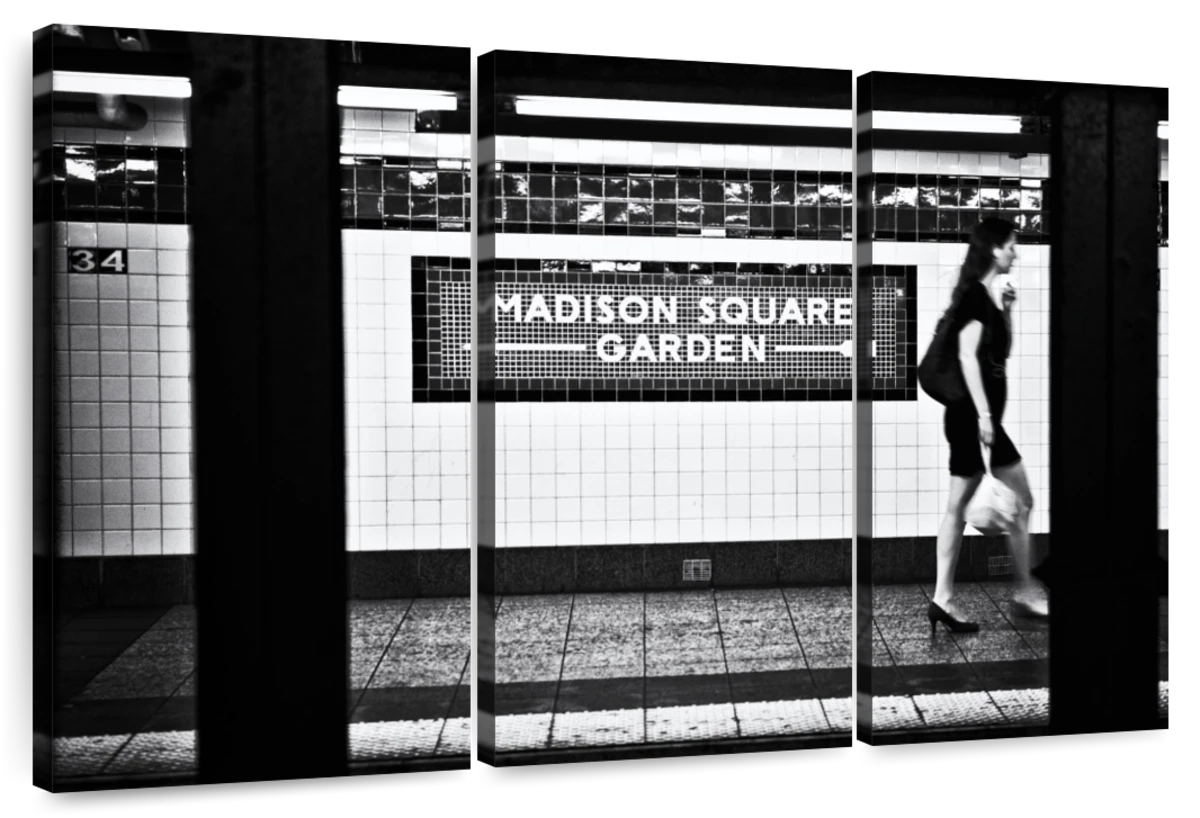 madison square garden black and white