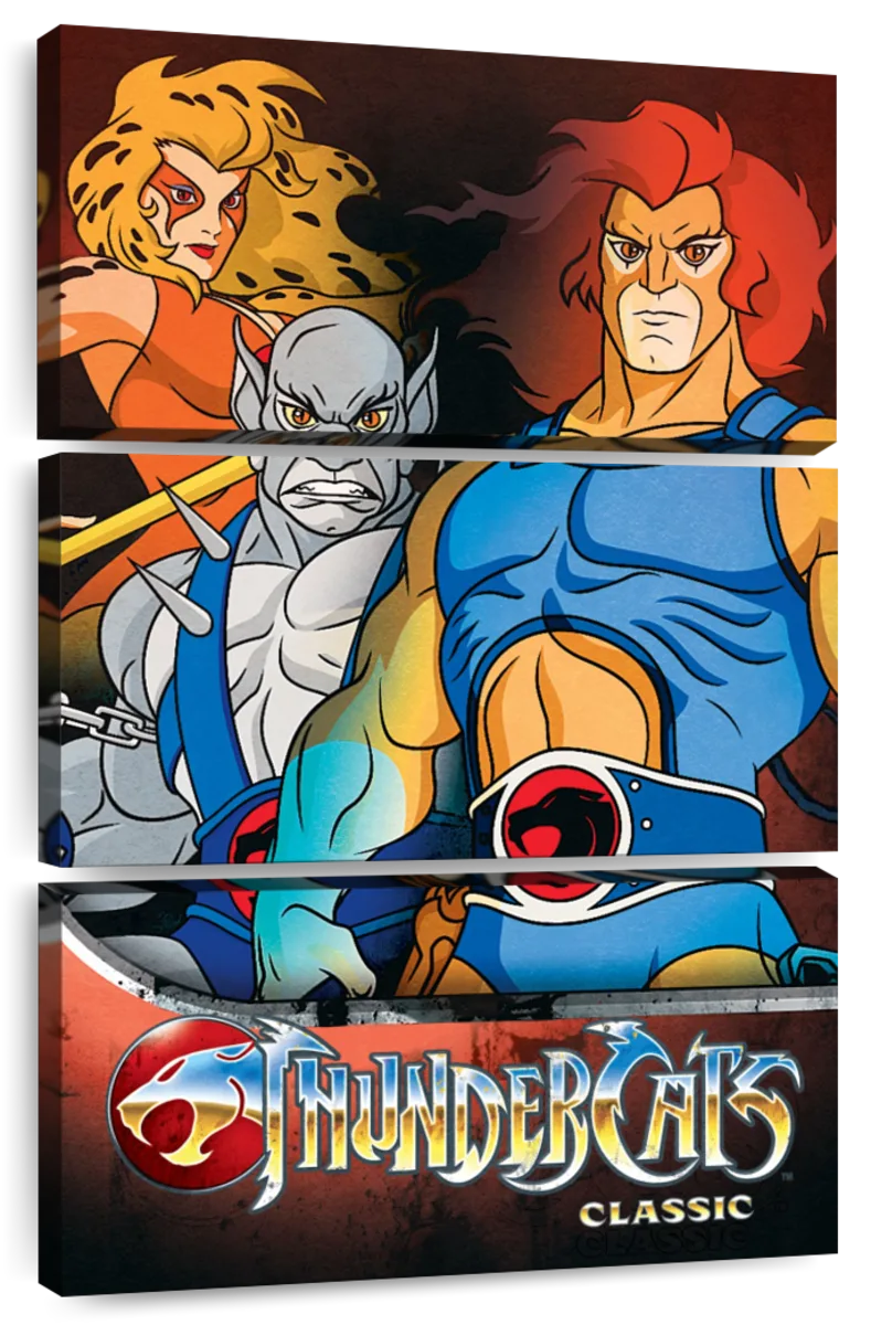 Cheetara ThunderCats Paint By Numbers - PBN Canvas