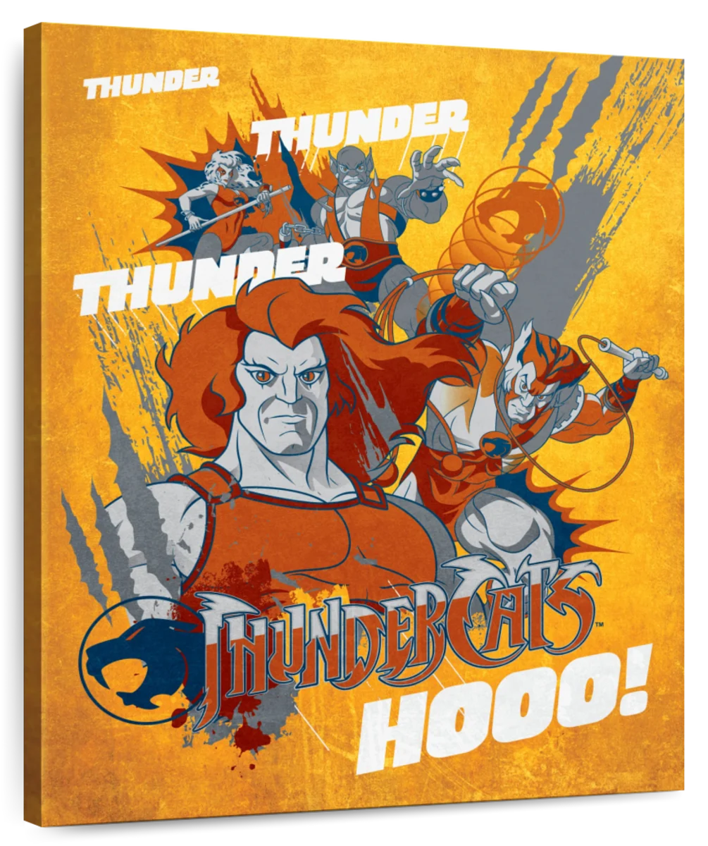 Thundercats, hooooooooo