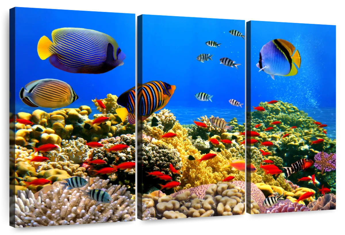 Underwater Life Wall Art | Photography