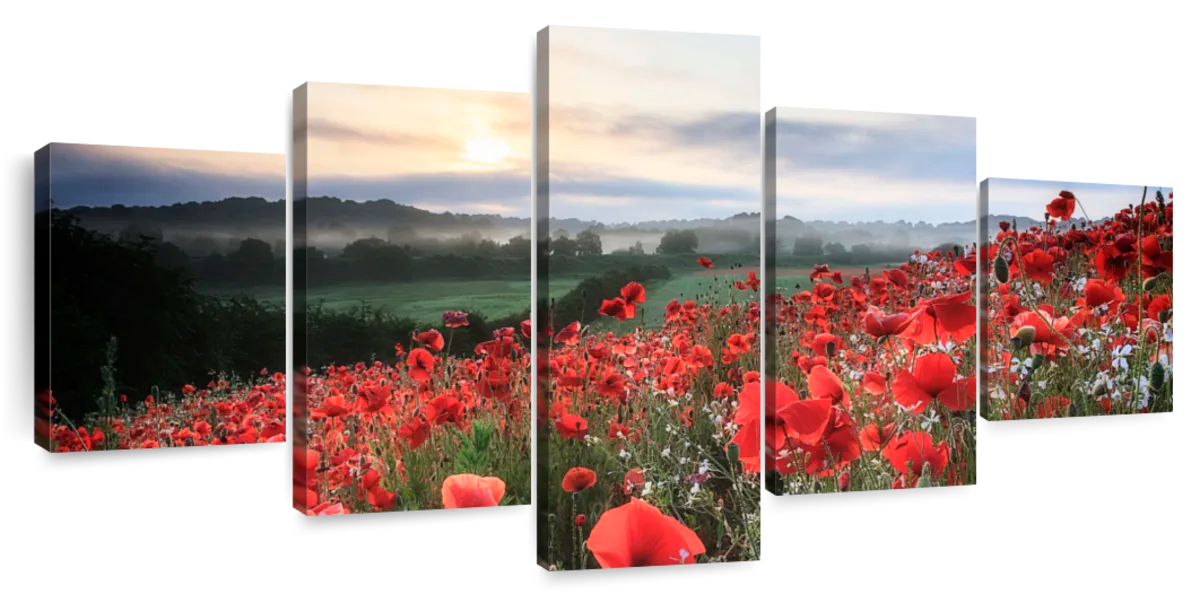 Field Of Red Poppies Wall Art | Photography