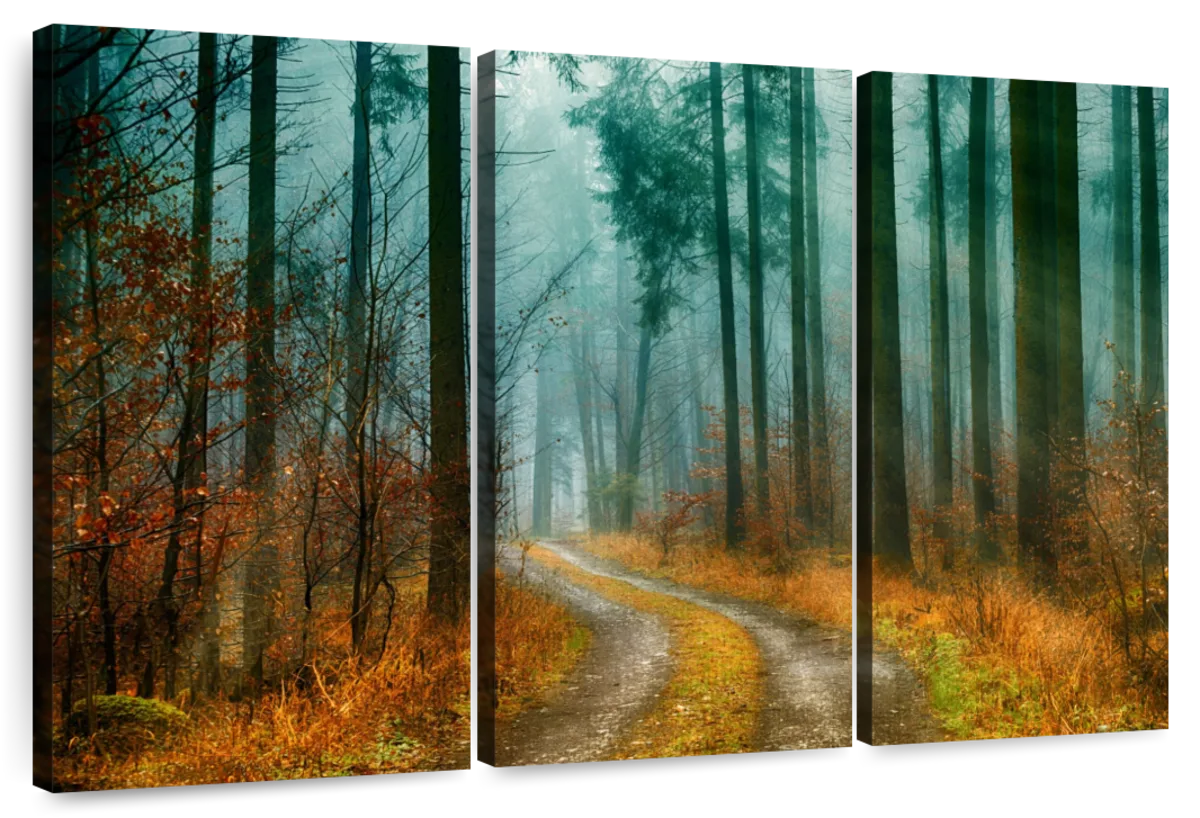 Autumn Forest Pathway Wall Art | Photography