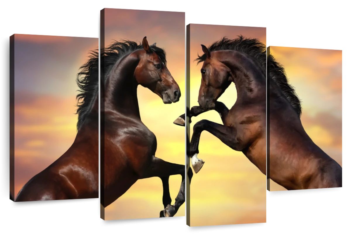 Rearing Horses Wall Art | Photography