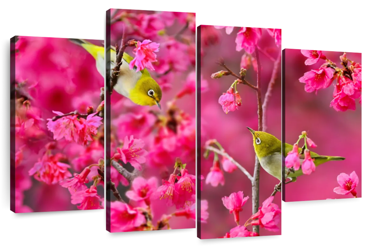 Cherry Blossoms And Birds Wall Art | Photography