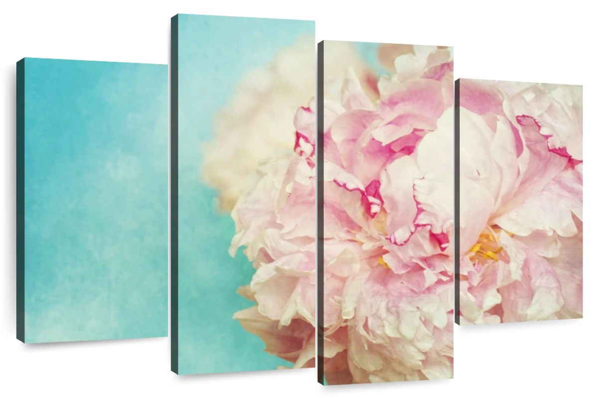 Lovely Peony Wall Art | Photography