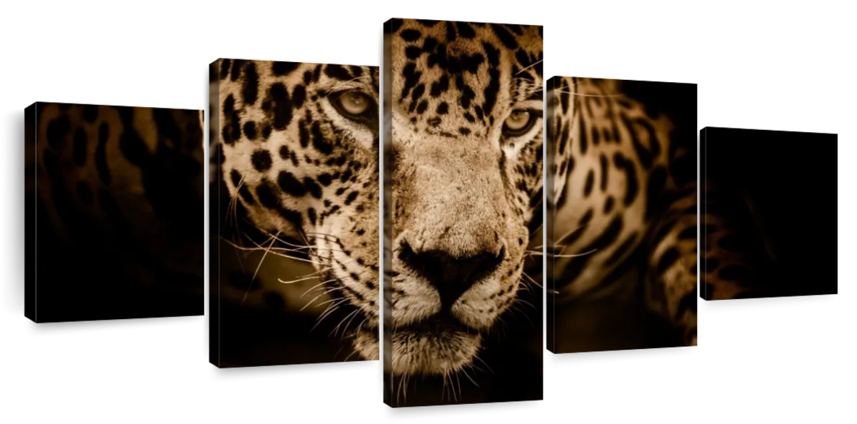 Jaguar Portrait Wall Art | Photography