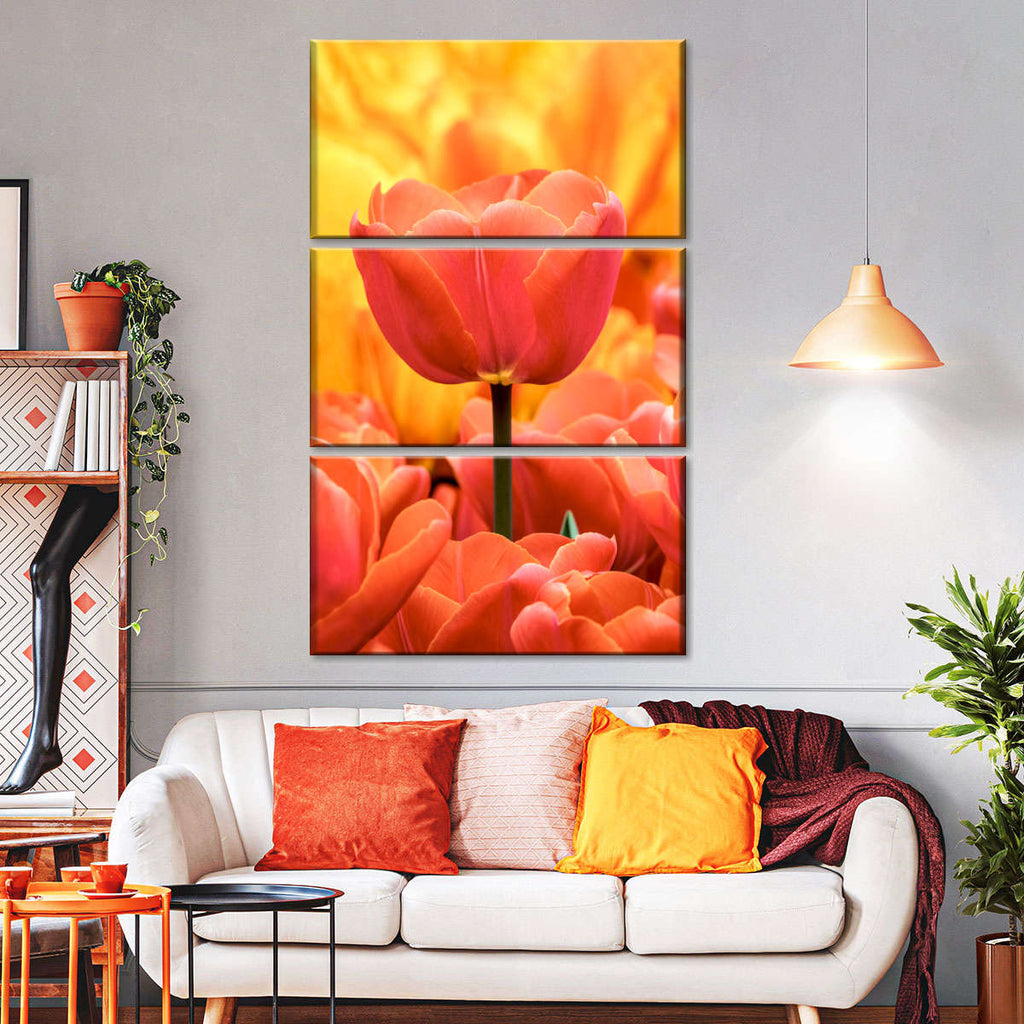 Standout Orange Tulip Wall Art | Photography