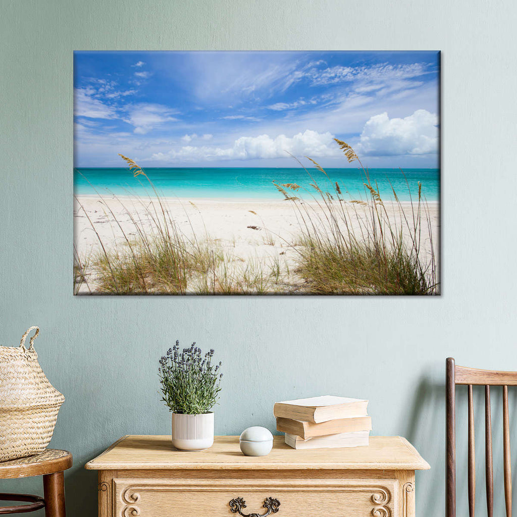 Grassy Caribbean Beach Wall Art | Photography