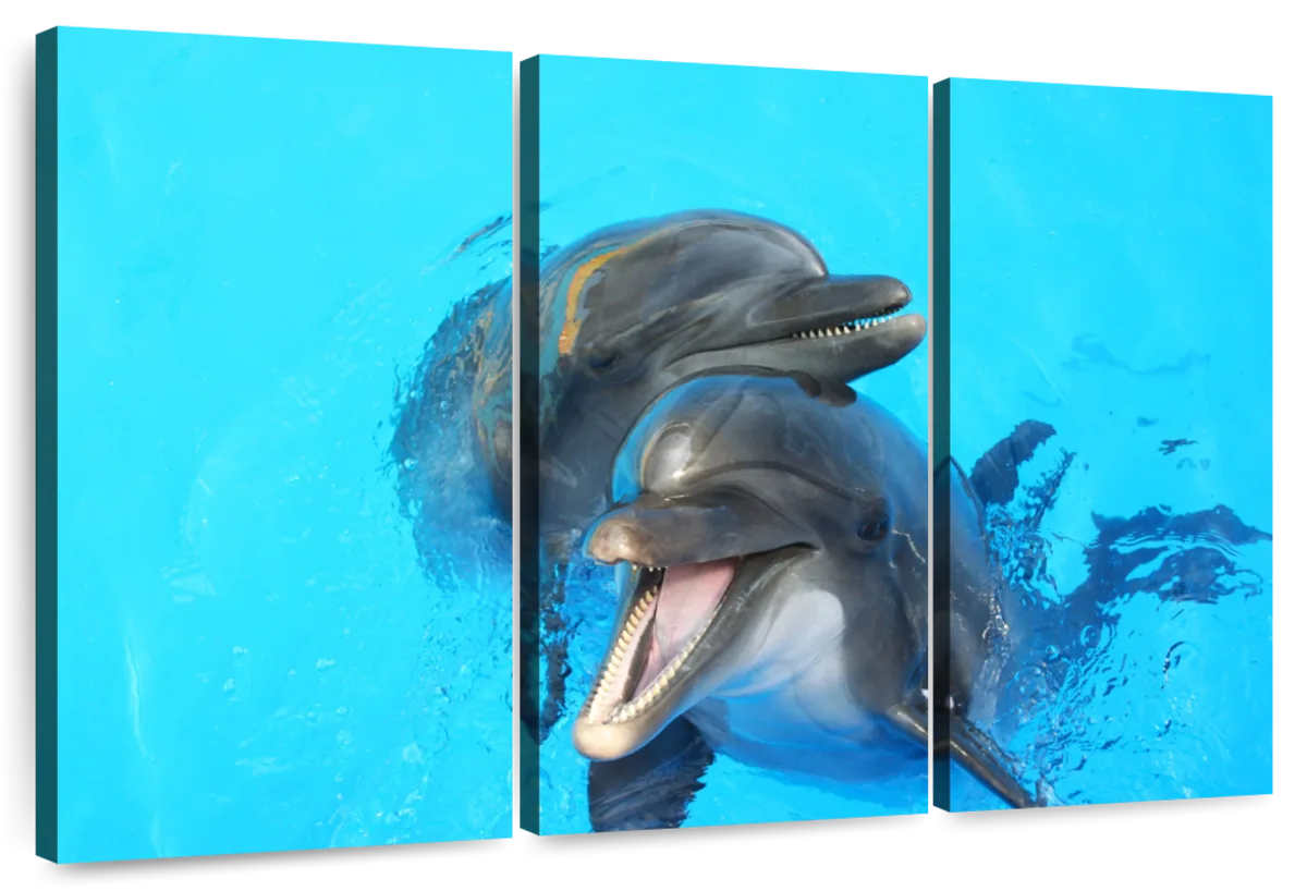 Dolphins Kissing Wall Art: Canvas Prints, Art Prints & Framed Canvas