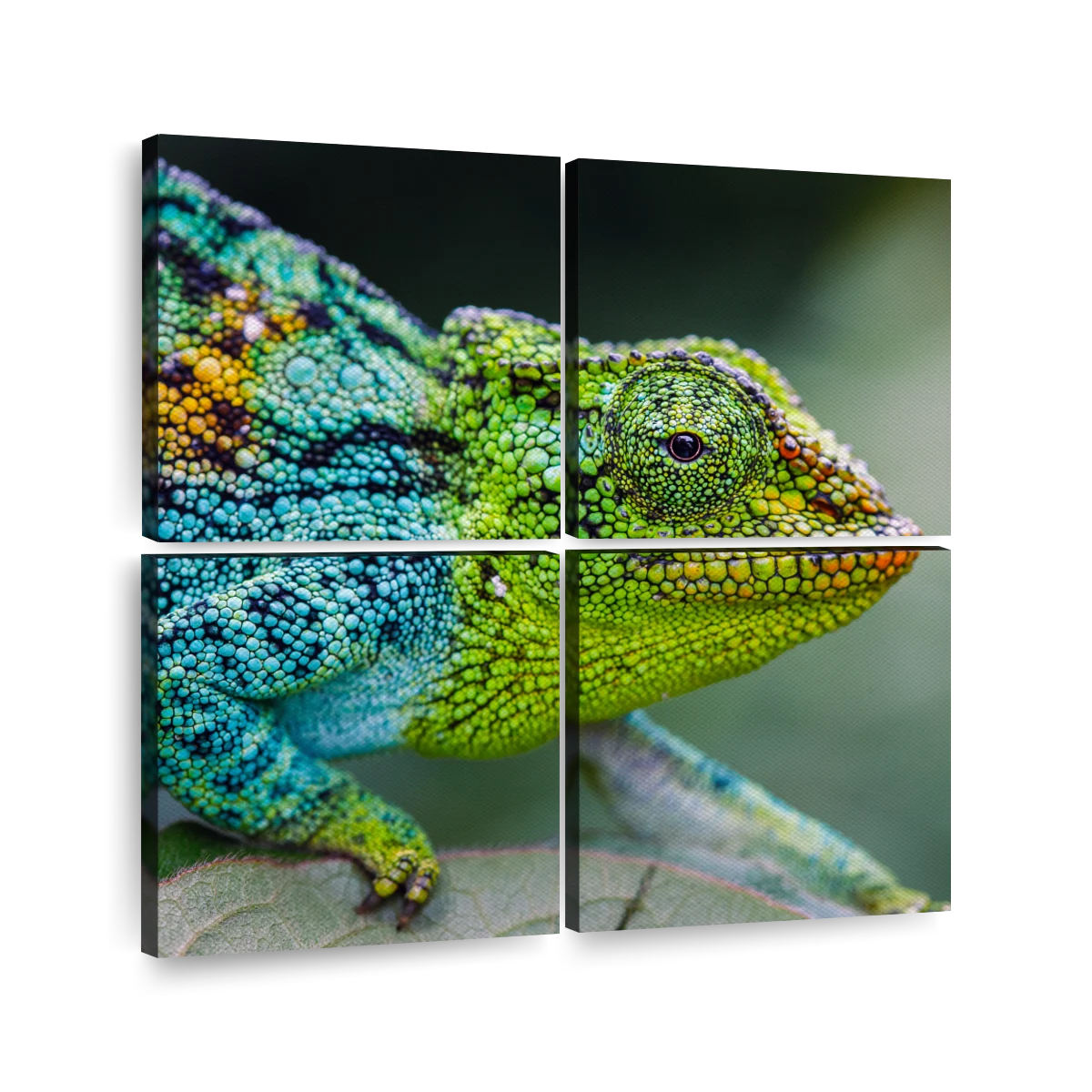 Green chameleon print by Editors Choice