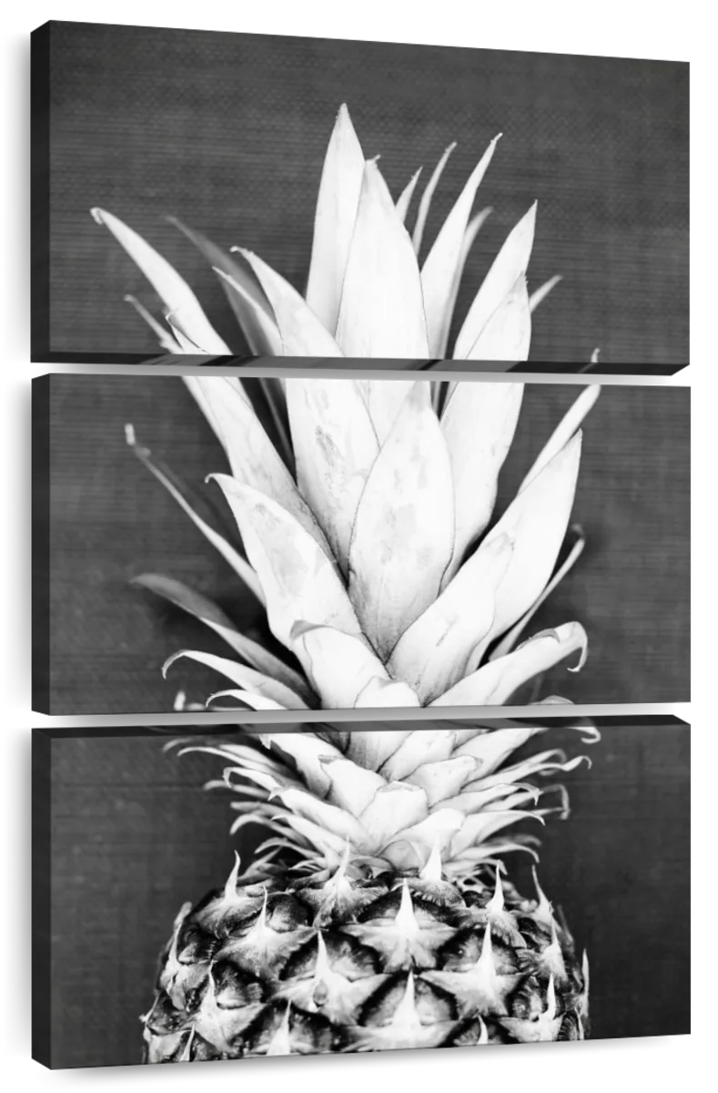 Pineapple Wall Art | Paintings, Drawings & Photograph Art Prints - Page 5