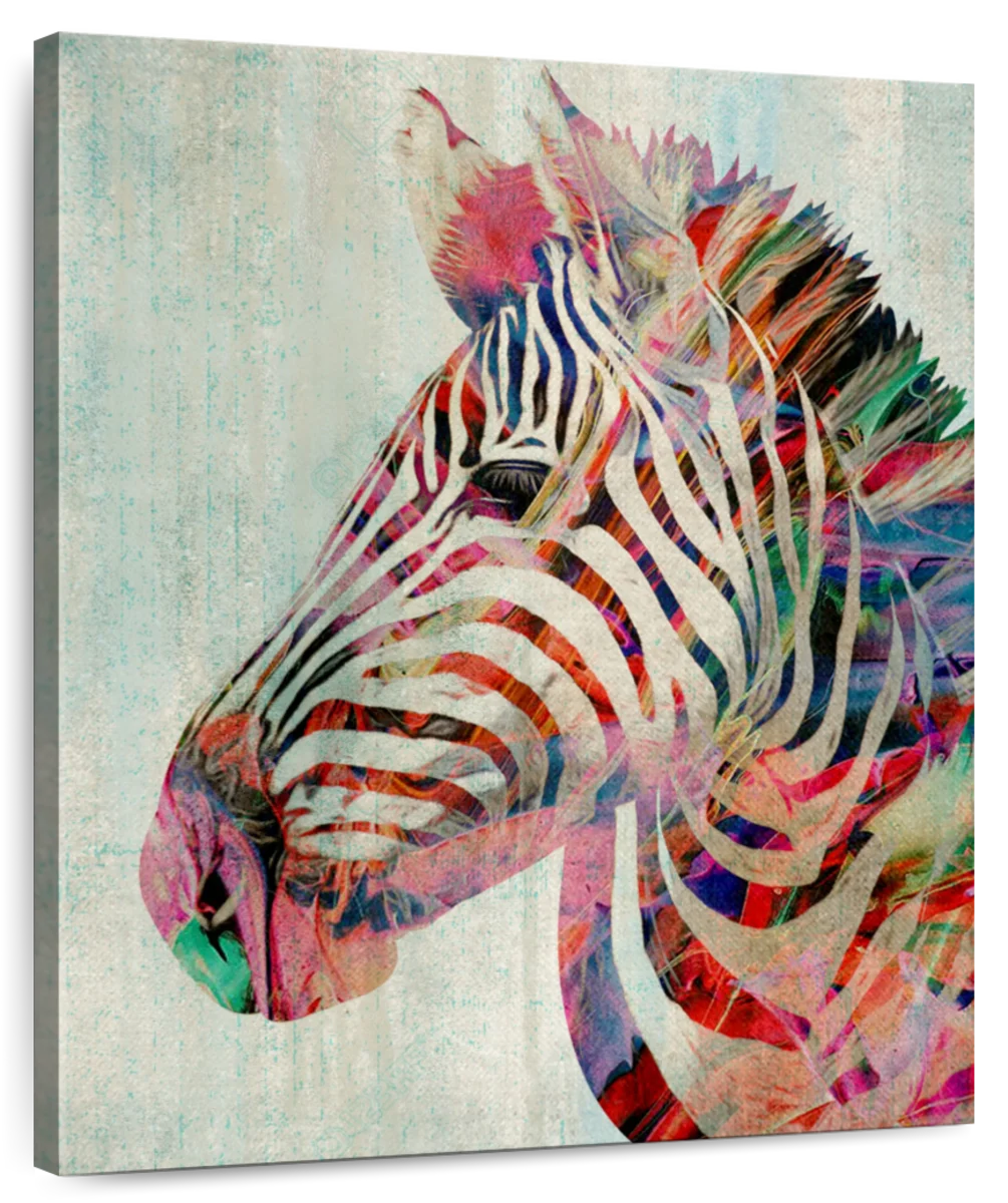 colorful zebra layouts