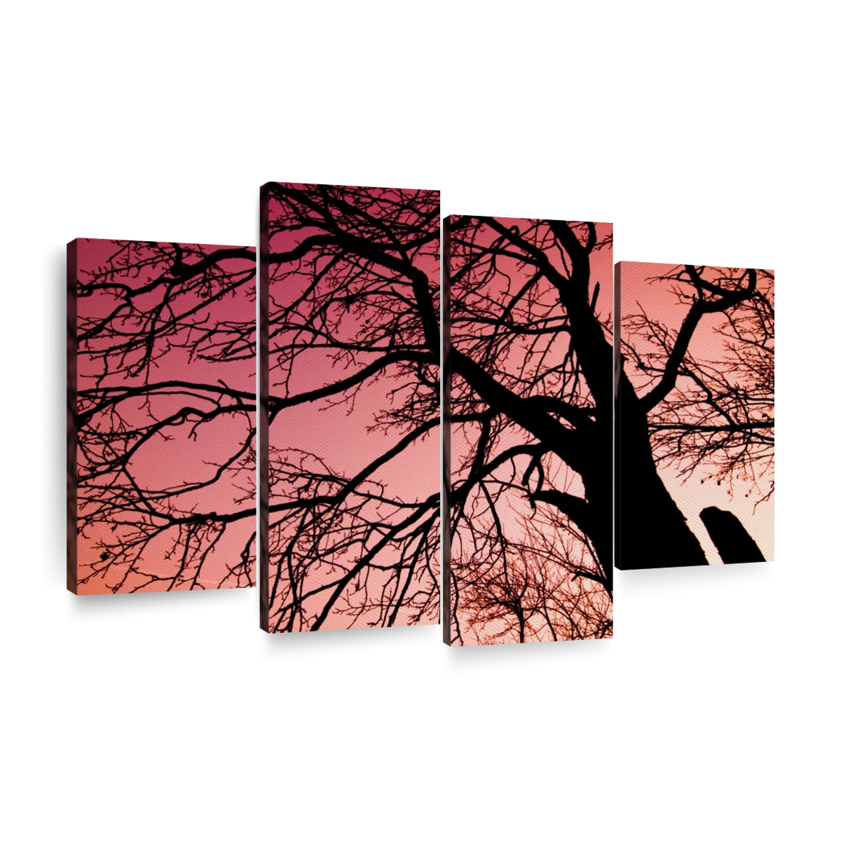 dead tree silhouette