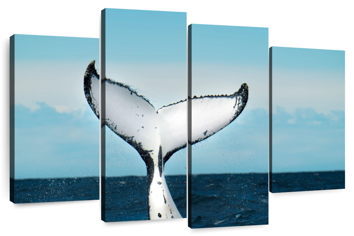 flukes of whale paintings