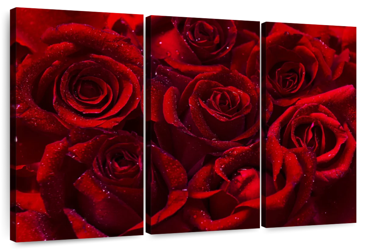 Romantic Rose Bouquet Wall Art | Photography