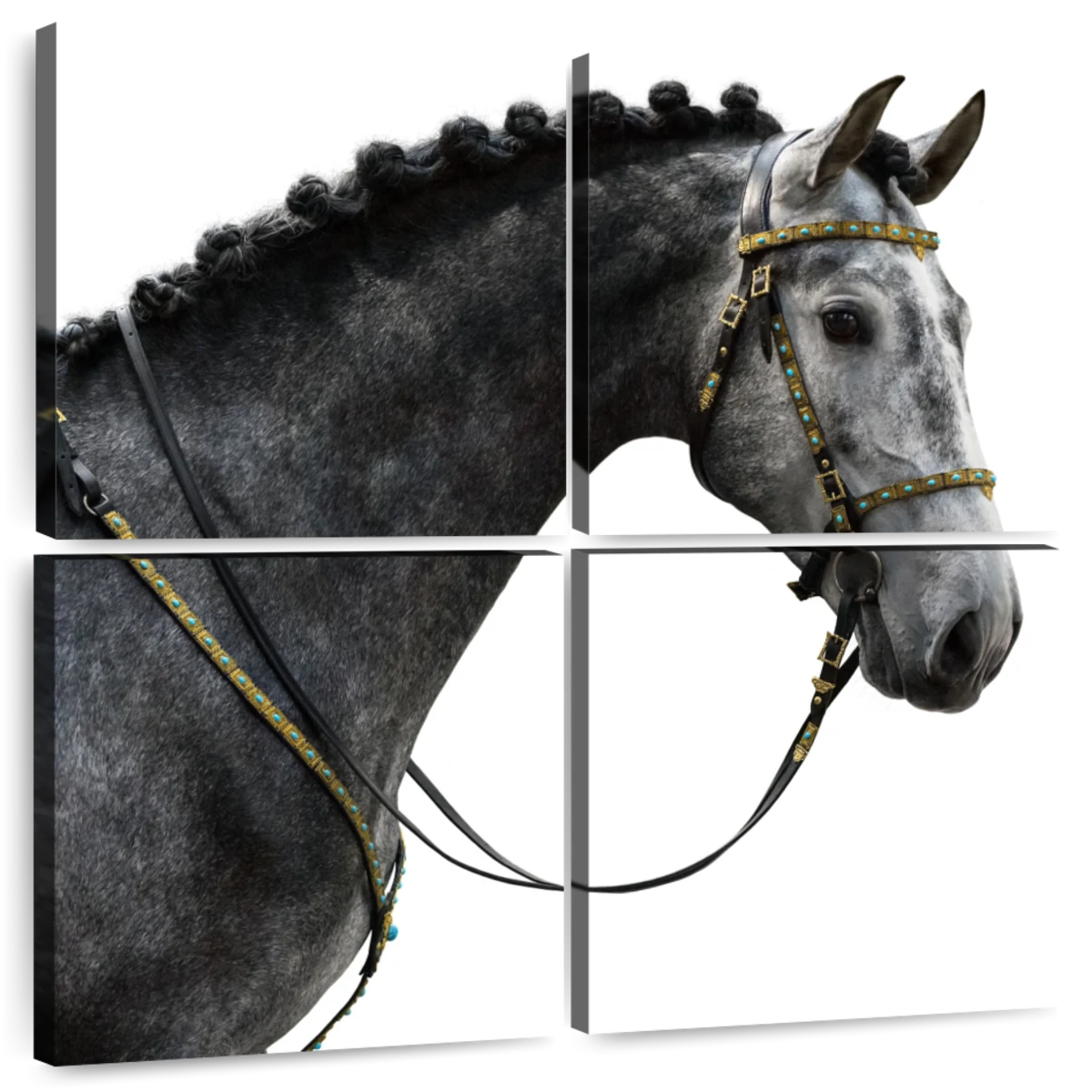 Dapple-grey Spanish horse - portrait in motion, Posters, Art Prints, Wall  Murals