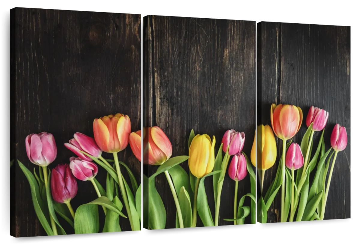 Tulip Wall Art | Paintings, Drawings & Photograph Art Prints