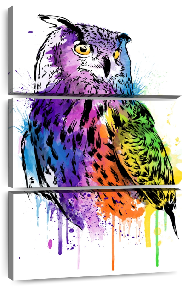 colorful watercolor owl