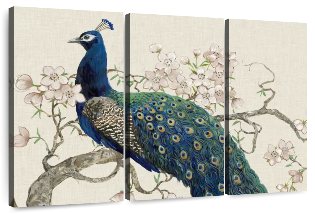 peacock art canvas