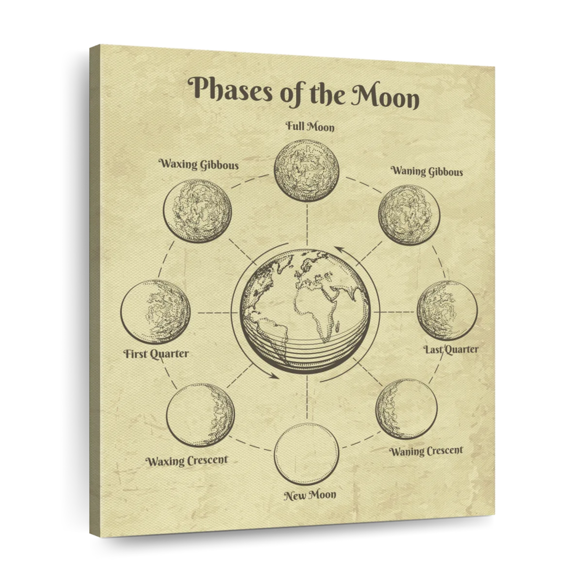 antique moon illustration