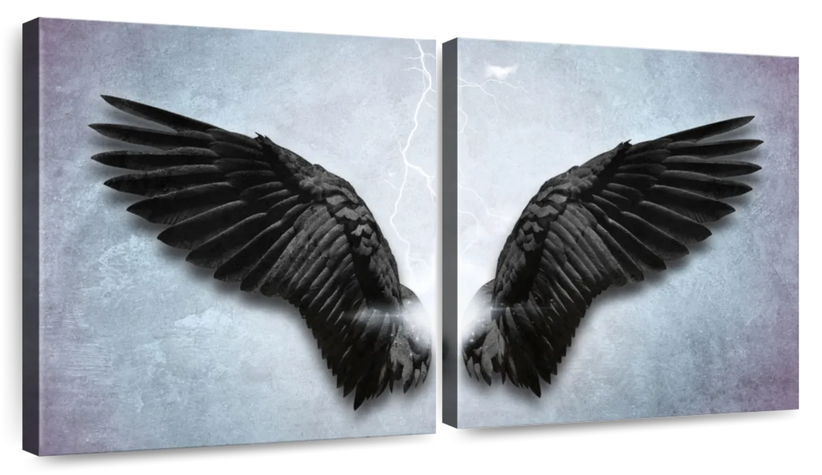 fallen angel wings