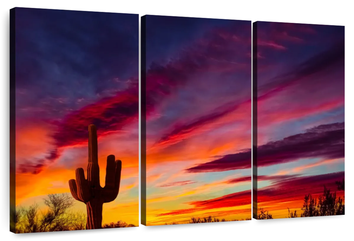 saguaro cactus sunset painting