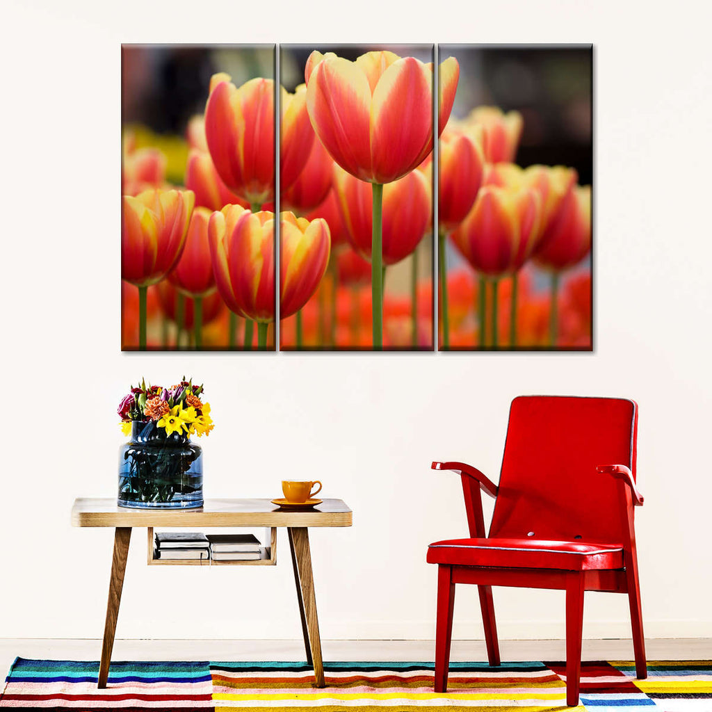Darwin Hybrid Tulips Wall Art | Photography