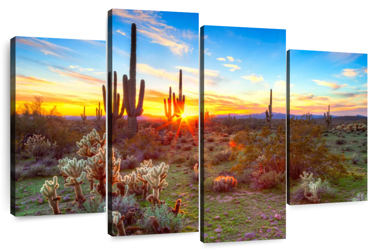 Sonoran Desert Sunset Landscape Wall Art | Photography