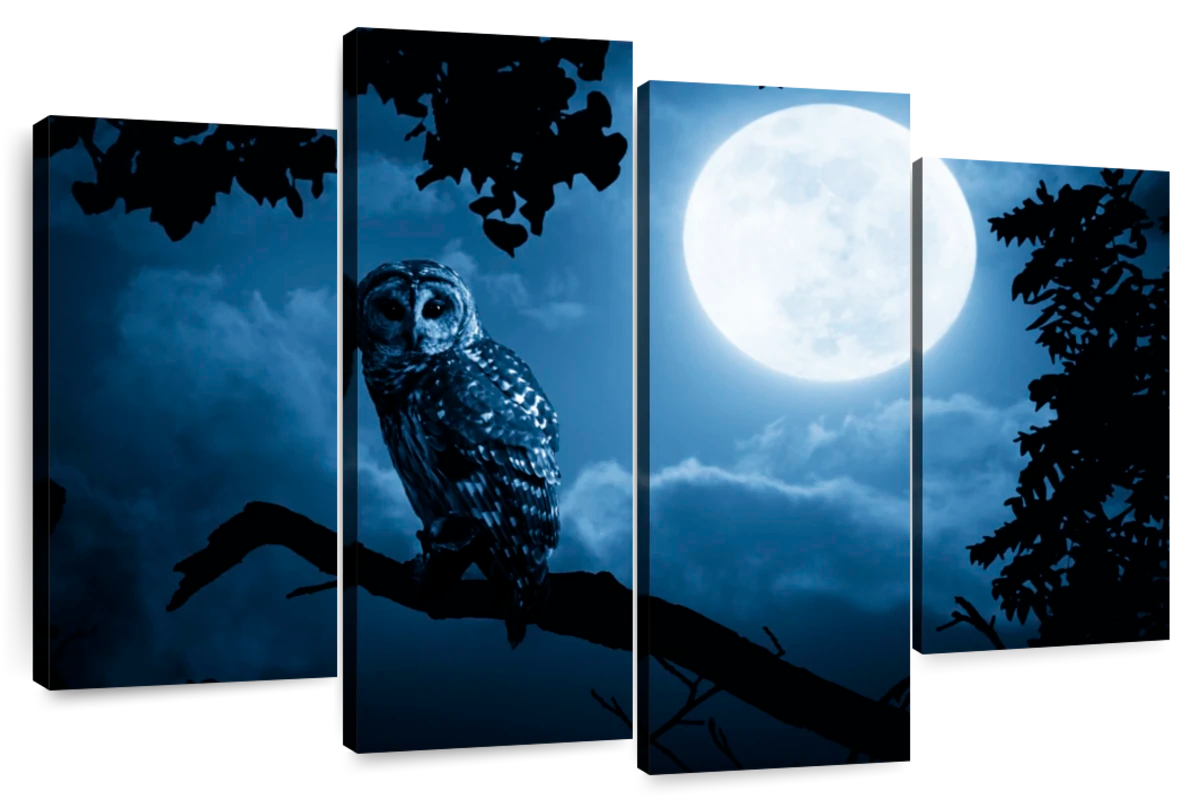 Watchful Night Owl Wall Art | Photography