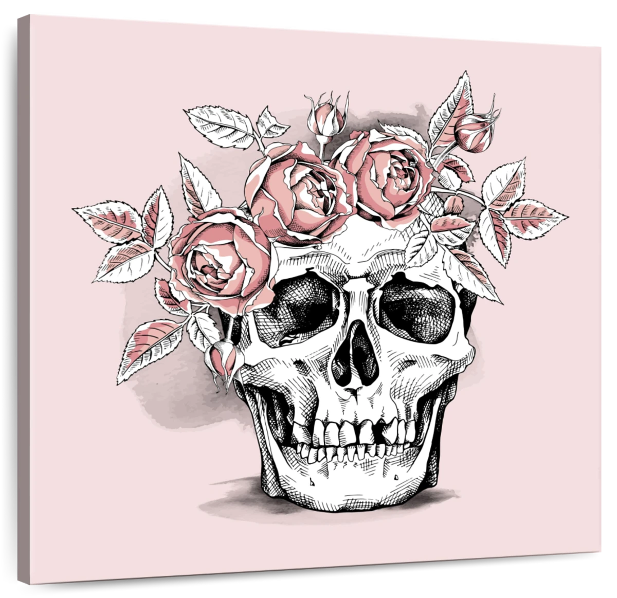 cool drawings of roses and skulls