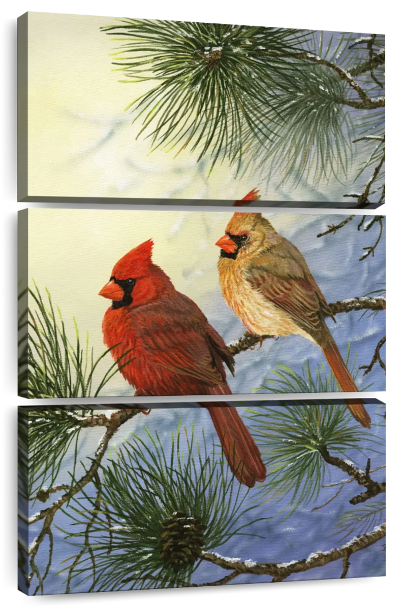 Cardinals Appear - 8.5 x 10 Frame (Holds 6 x 4 Photo) – Amy's Cottage  of Williamstown
