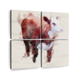 Brown hereford bull 