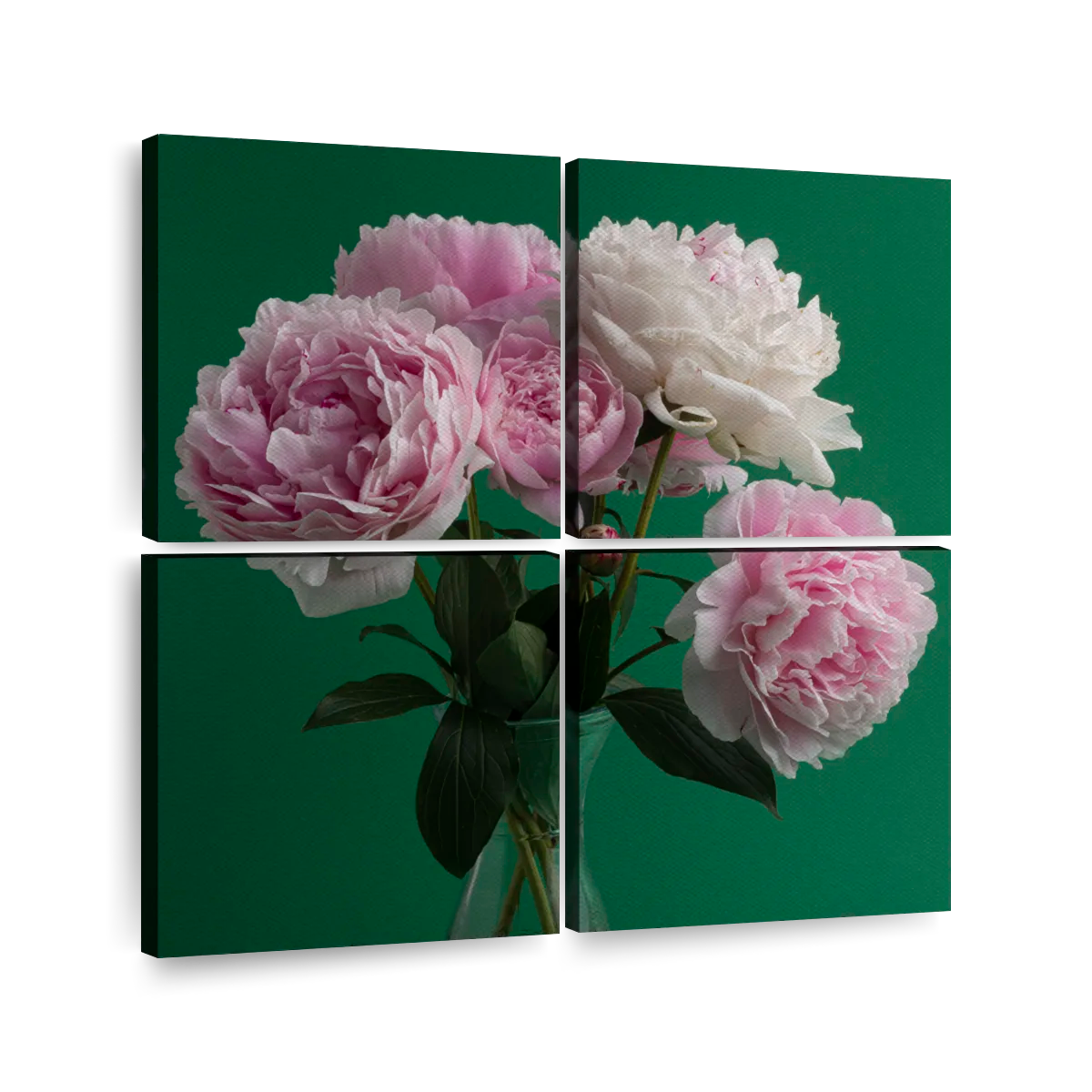 Pink White Peonies Wall Art | Photography