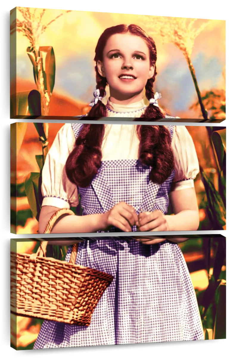 dorothy gale costume