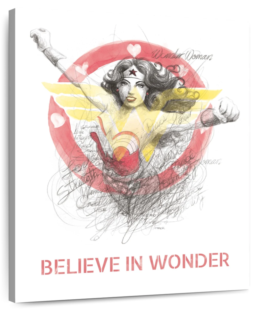 Sean Phillips  Wonder Woman 75th Anniversary Special 1 2016  MutualArt