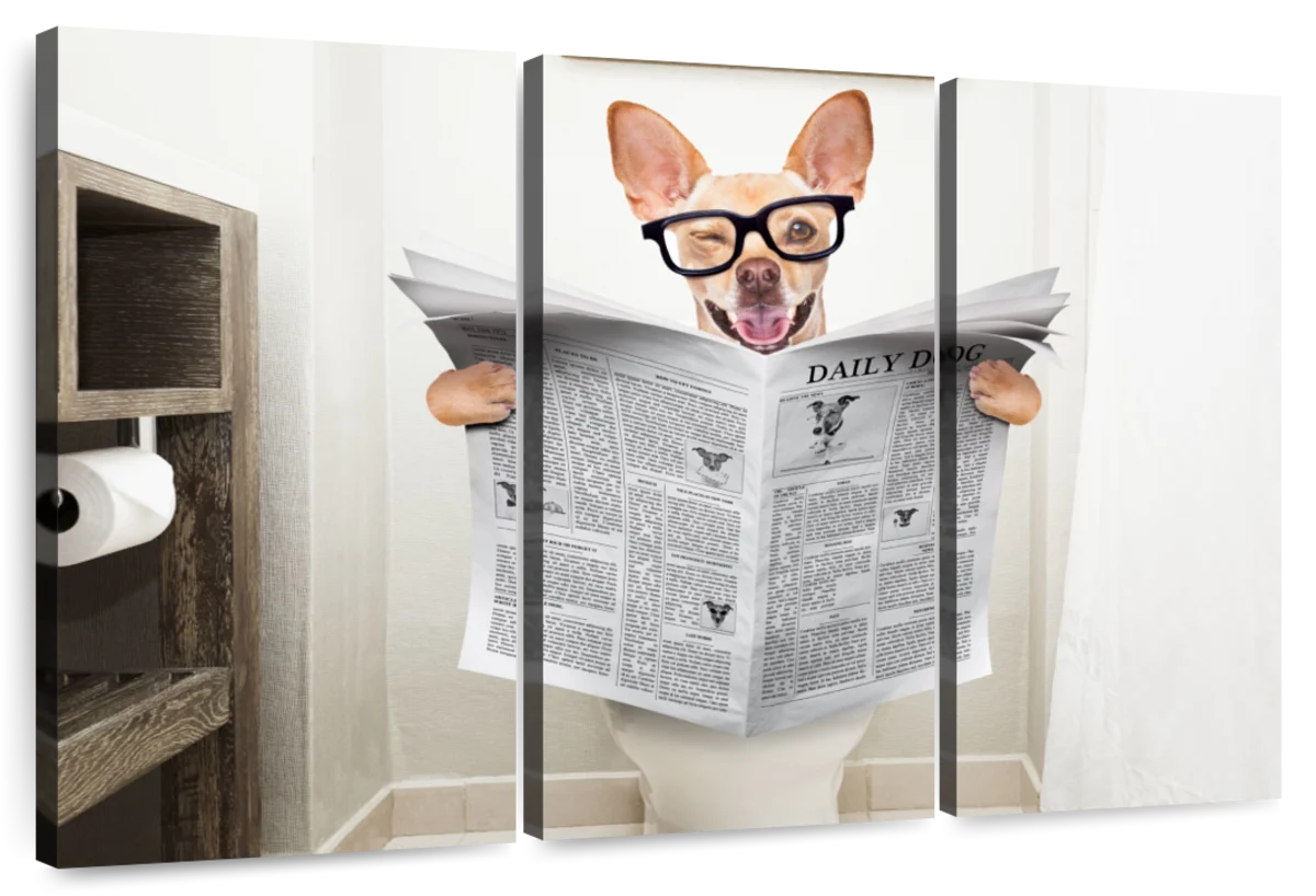 x1q es mn8 layout 3 horizontal chihuahua reading the paper 3 piece wall art