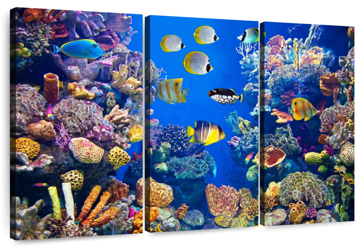 Teeming Underwater Life Wall Art | Photography