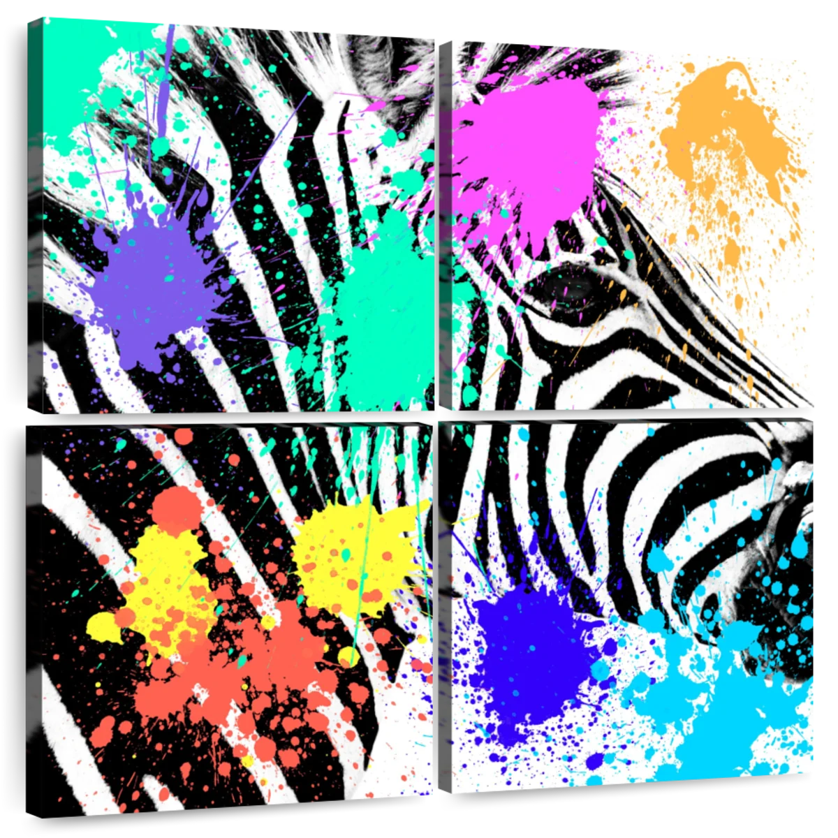 colorful zebra layouts