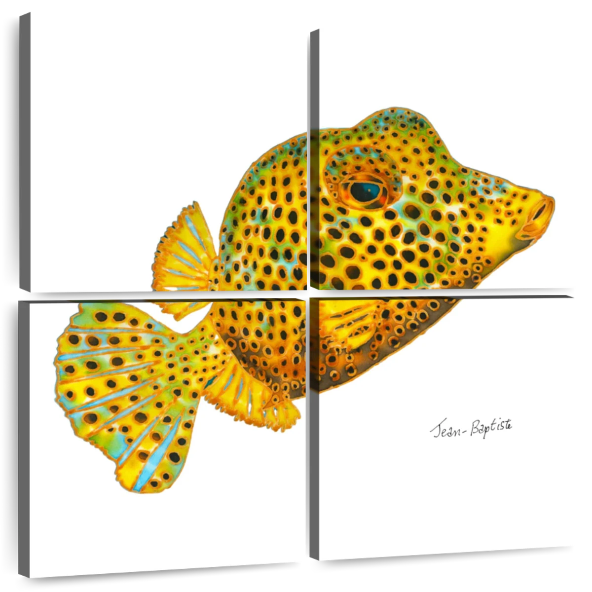 yellow fish with white background