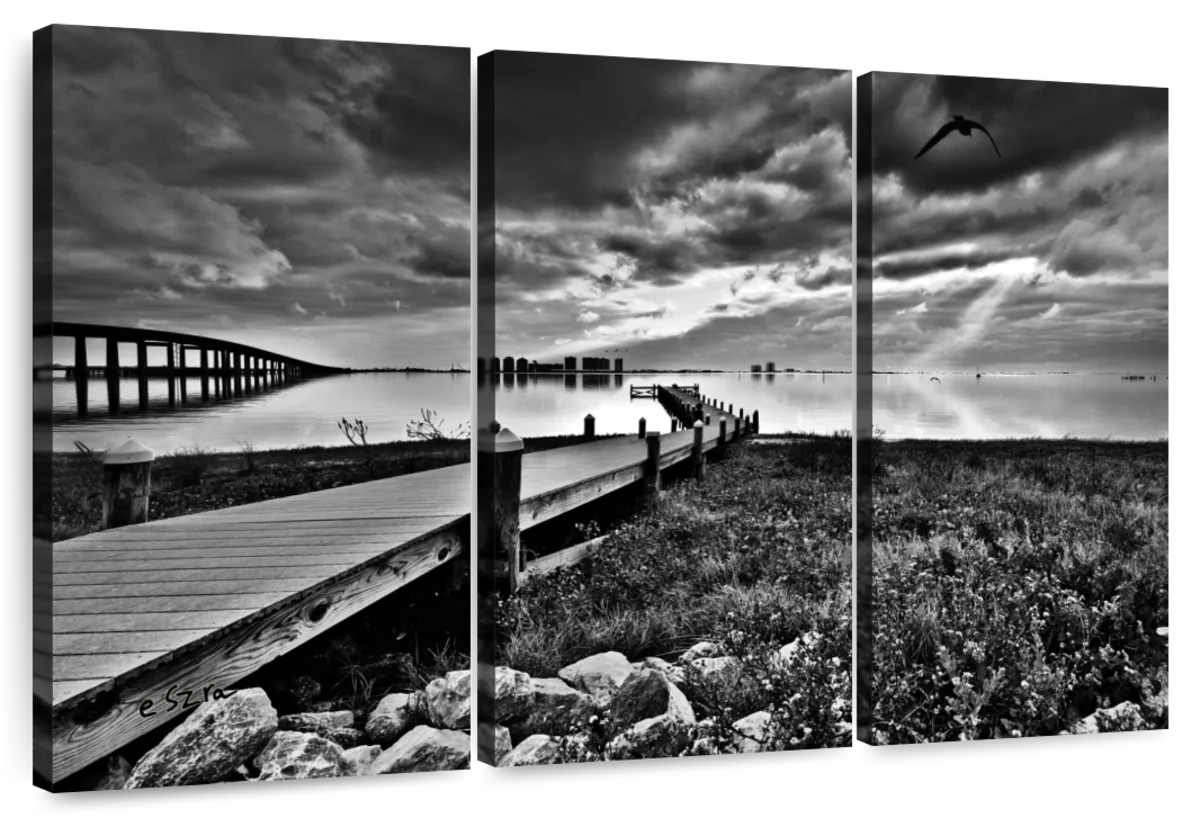 Florida Black and White Photography Wall Art: Prints, Paintings