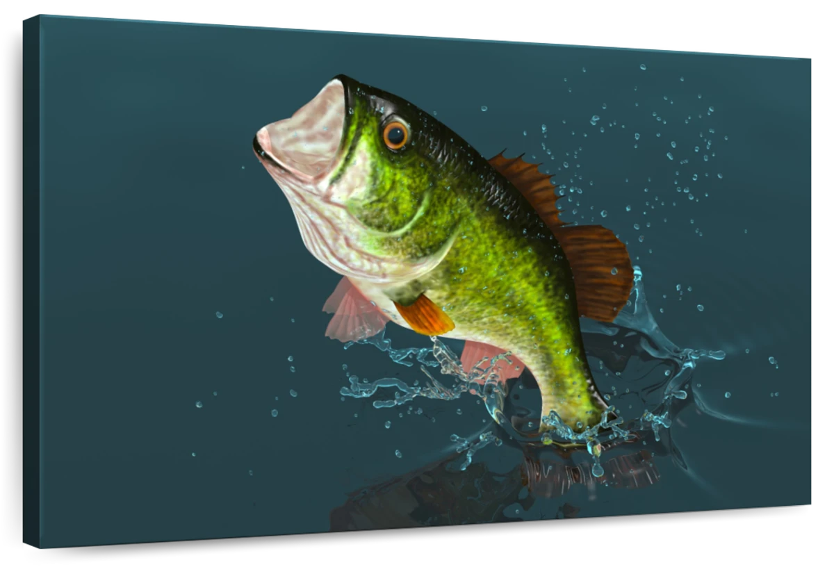 Large Mouth Bass Fishing Wall Art: Canvas Prints, Art Prints & Framed Canvas
