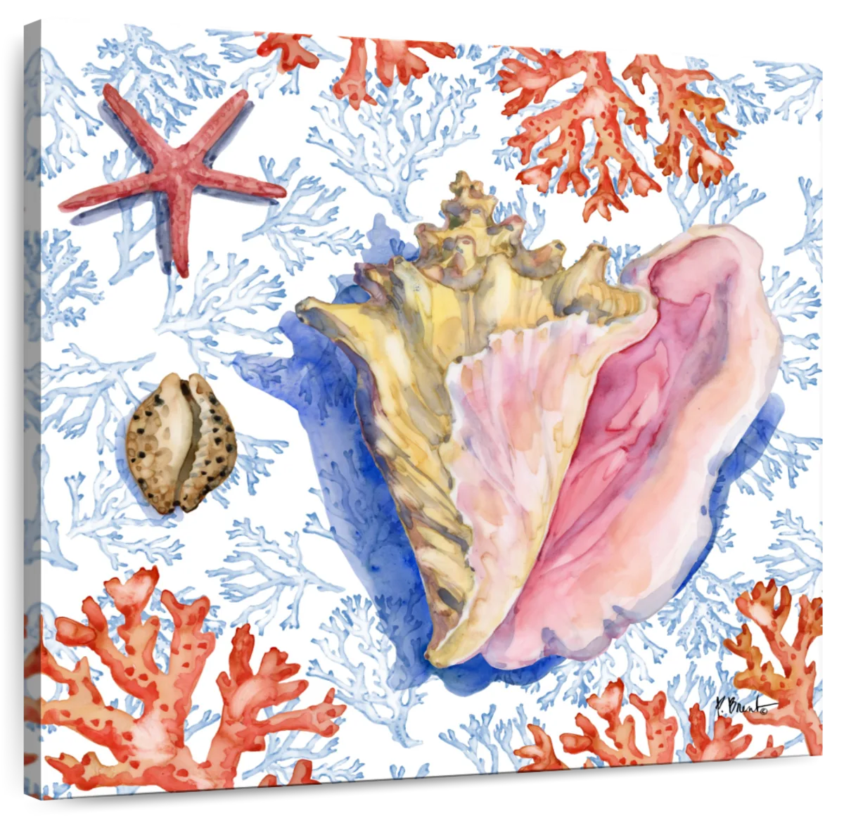 Starfish and Sea Shells III print by Editors Choice